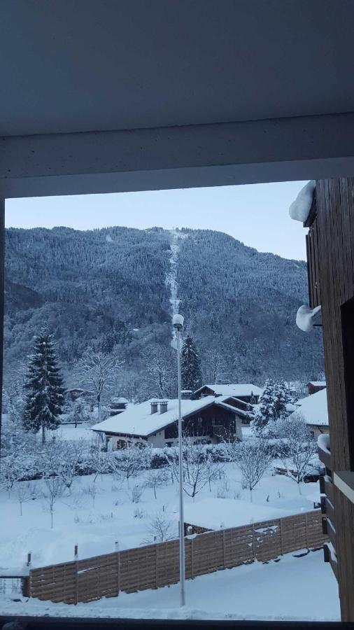 Samoens Studio エクステリア 写真