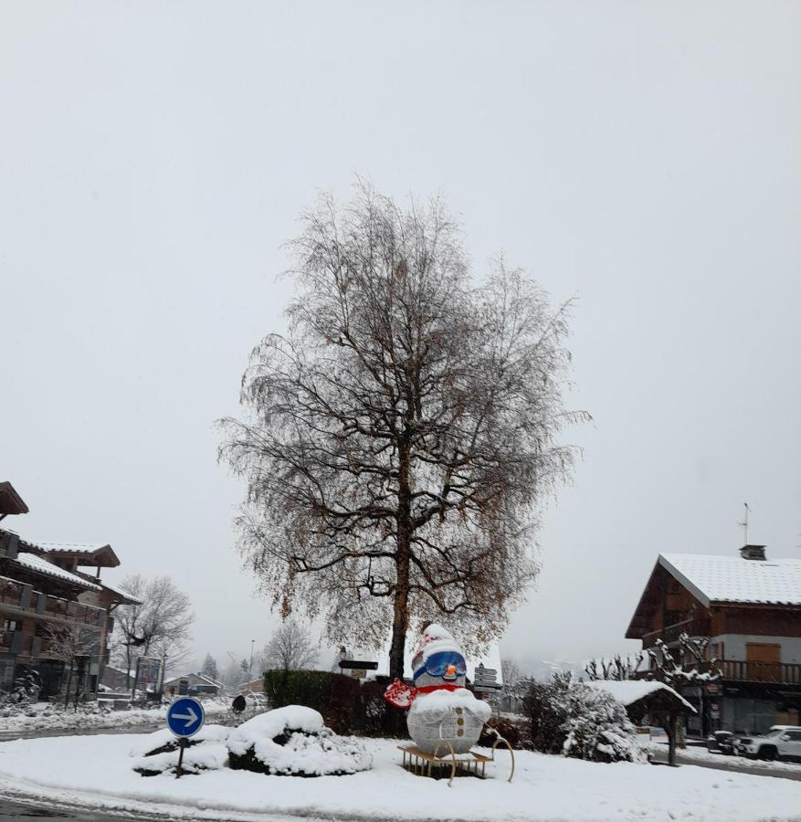 Samoens Studio エクステリア 写真