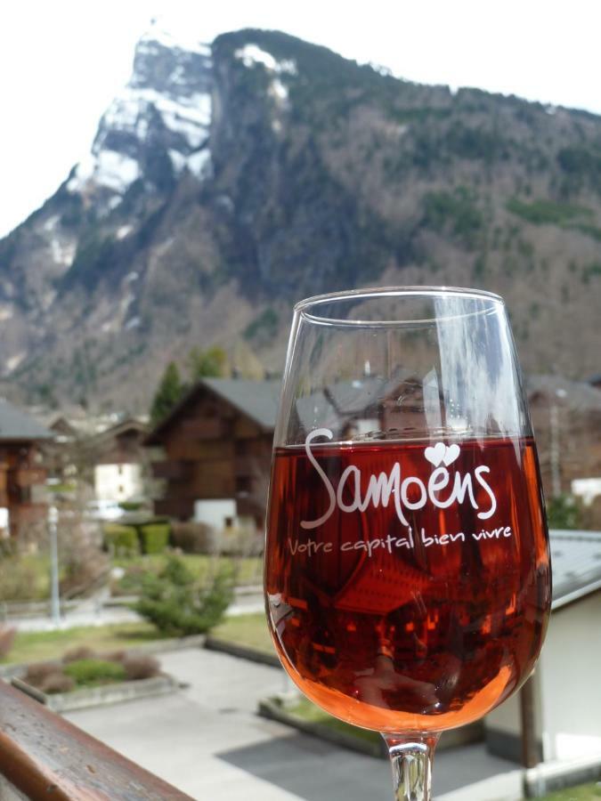 Samoens Studio エクステリア 写真