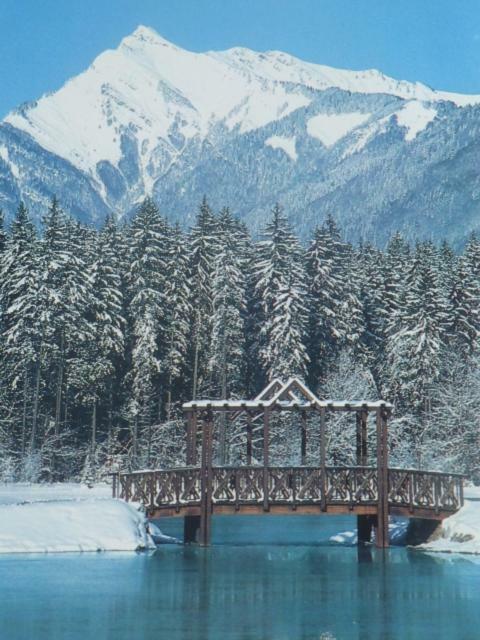 Samoens Studio エクステリア 写真